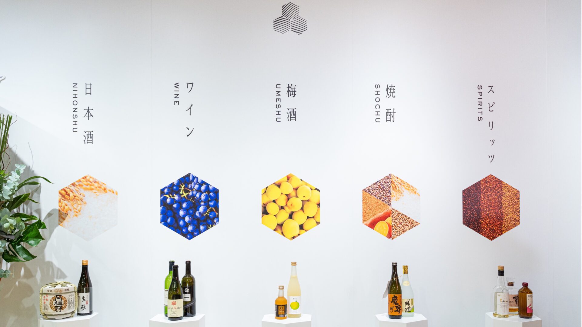 Pop-Up Store - IPPINKAN by the time sommelier